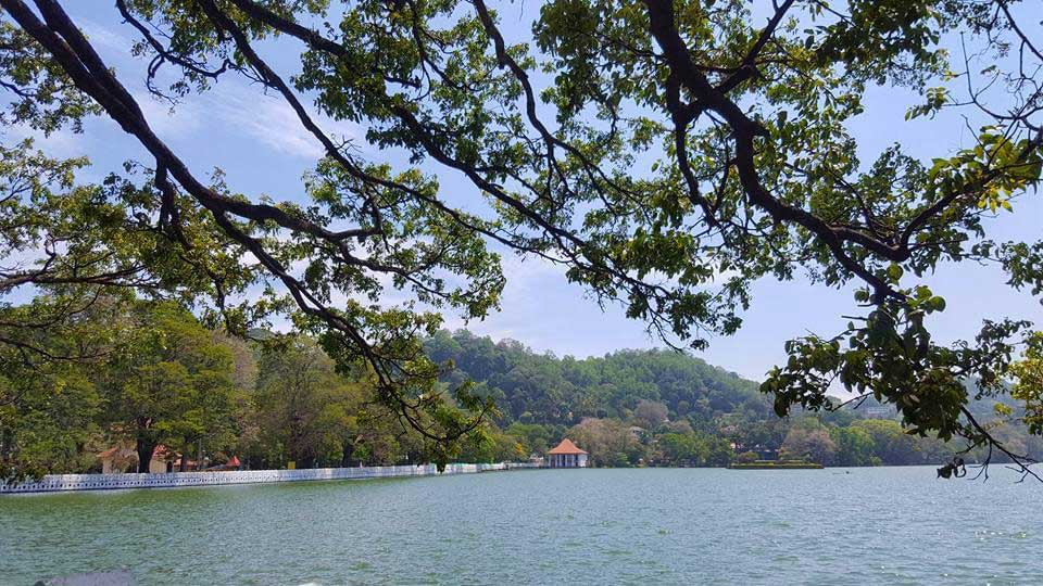Kandy Best Tours