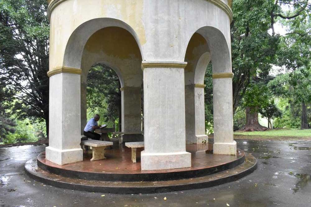 Kandy Best Tours