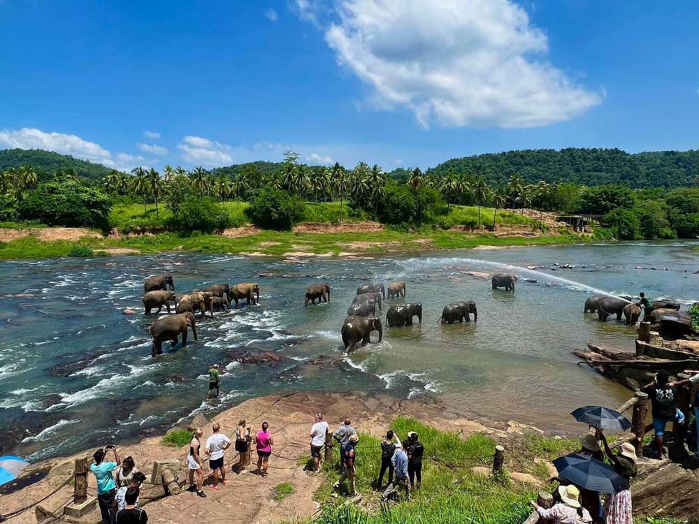 Kandy Best Tours