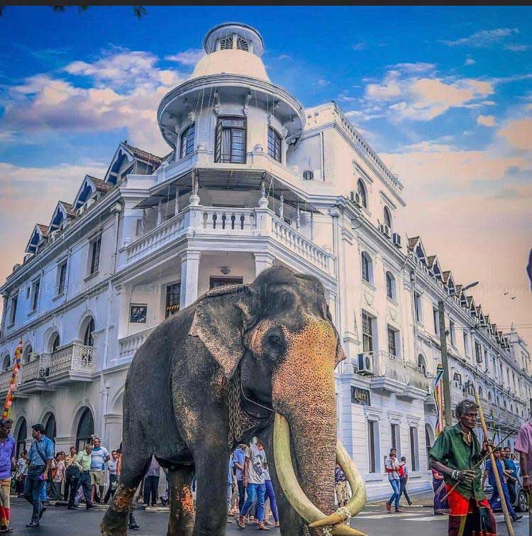 Kandy Best Tours