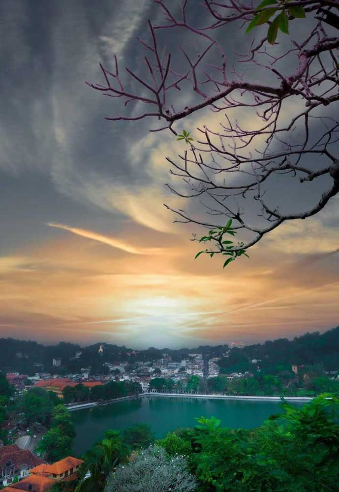 Kandy Best Tours