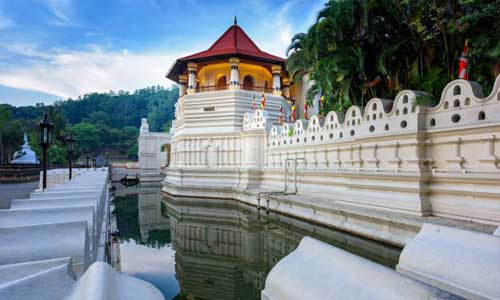 Kandy Best Tours