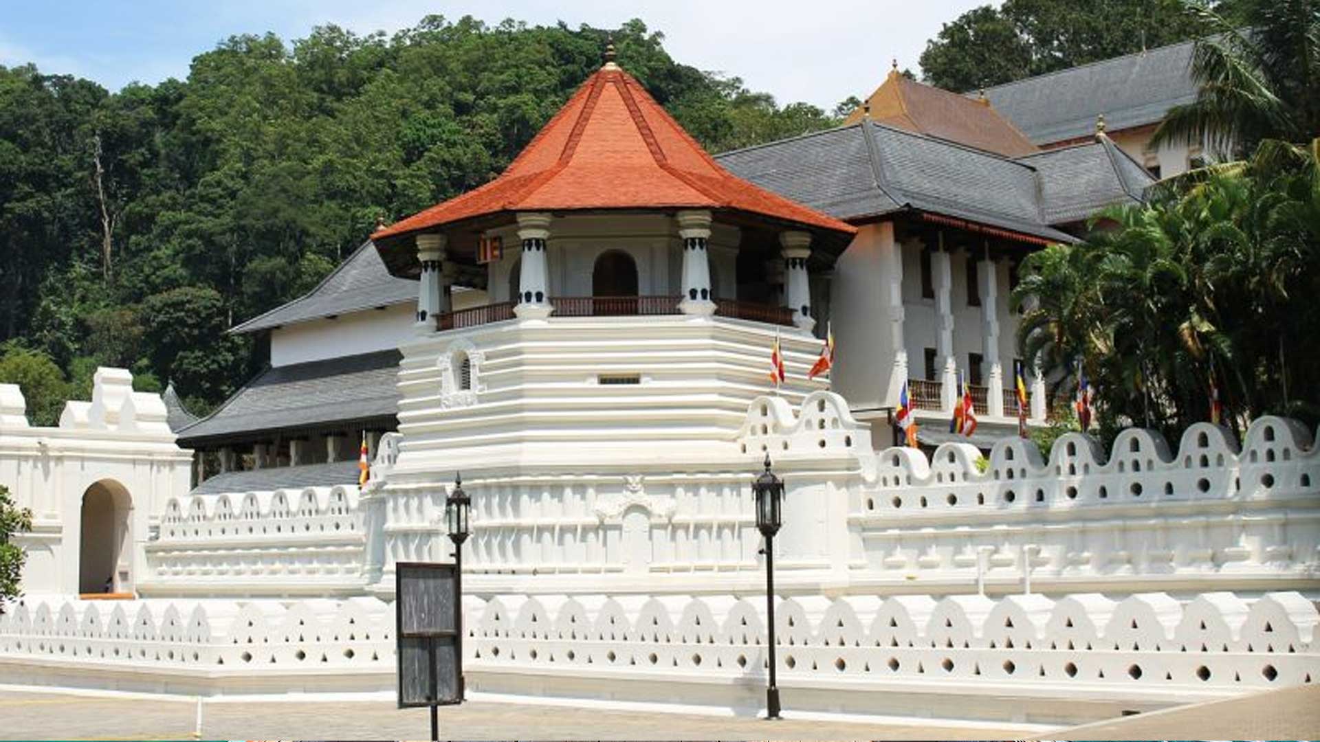 Kandy Best Tours