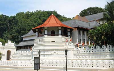 Kandy Best Tours