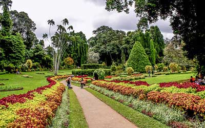 Kandy Best Tours