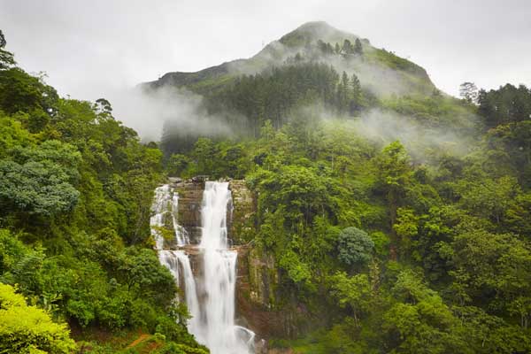 Kandy Best Tours